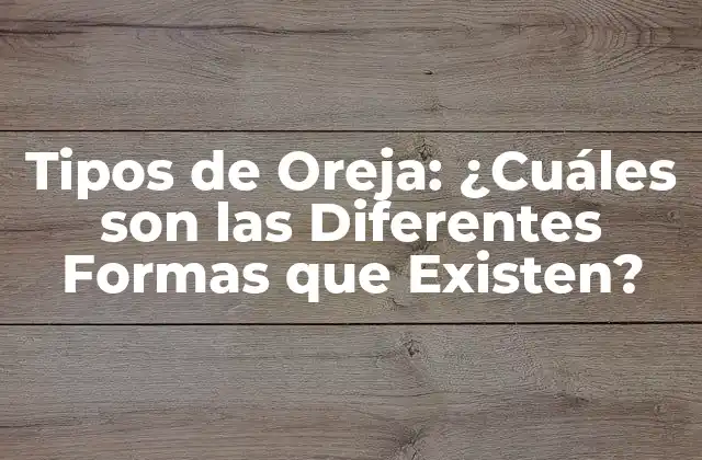 Tipos de Oreja: ¿cuáles Son las Diferentes Formas que Existen?