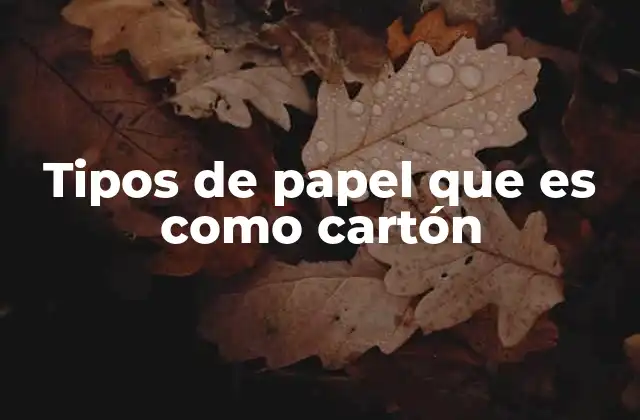 Tipos de Papel que es como Cartón