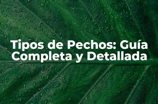 Tipos de Pechos: Guía Completa y Detallada