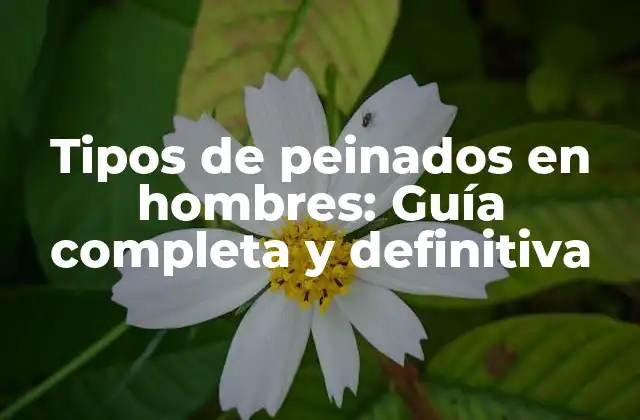 Tipos de Peinados en Hombres: Guía Completa y Definitiva