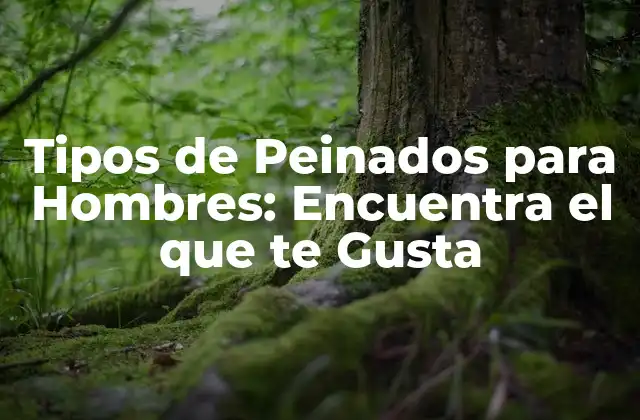 Tipos de Peinados para Hombres: Encuentra el que Te Gusta