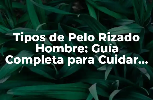 Tipos de Pelo Rizado Hombre: Guía Completa para Cuidar y Estilizar