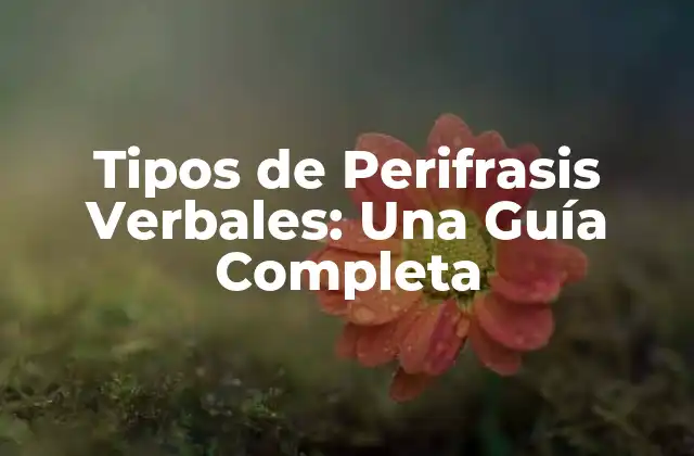 Tipos de Perifrasis Verbales: una Guía Completa