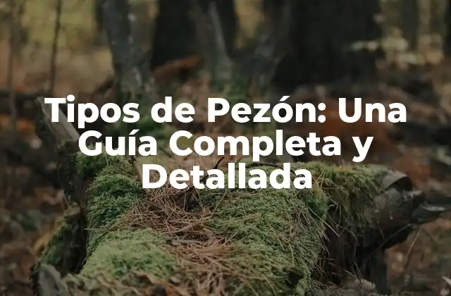Tipos de Pezón: una Guía Completa y Detallada