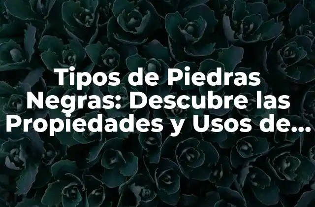 Tipos de Piedras Negras: Descubre las Propiedades y Usos de Estas Gemas Místicas