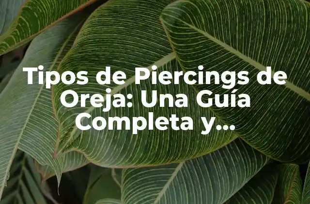 Tipos de Piercings de Oreja: una Guía Completa y Actualizada