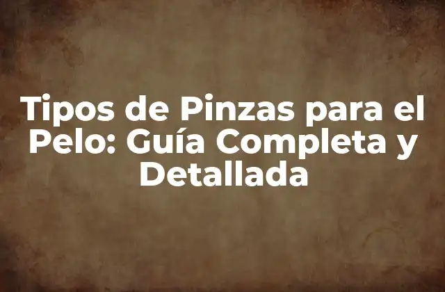 Tipos de Pinzas para el Pelo: Guía Completa y Detallada