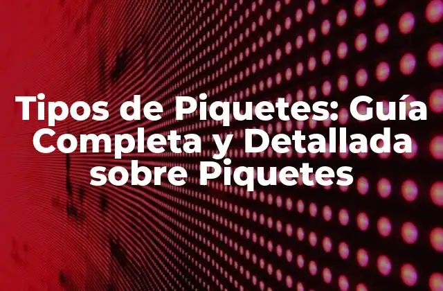 Tipos de Piquetes: Guía Completa y Detallada sobre Piquetes