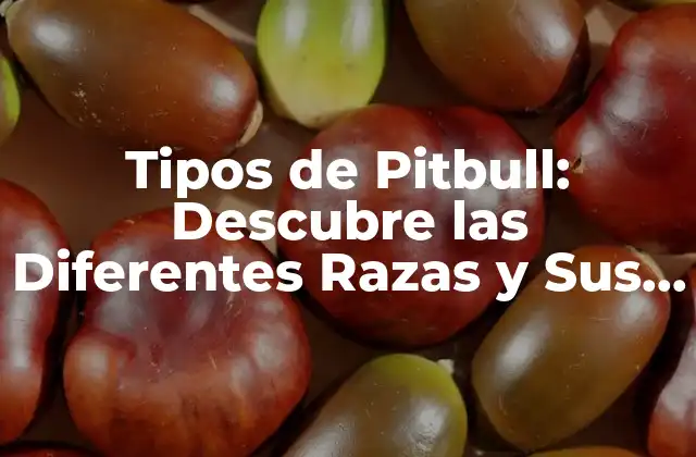 Tipos de Pitbull: Descubre las Diferentes Razas y Sus Características