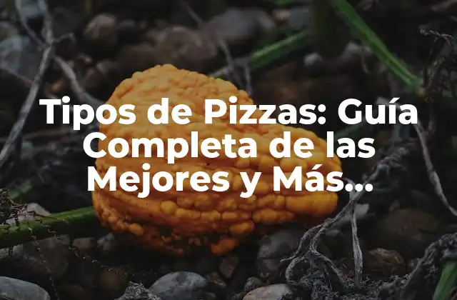 Tipos de Pizzas: Guía Completa de las Mejores y Más Populares