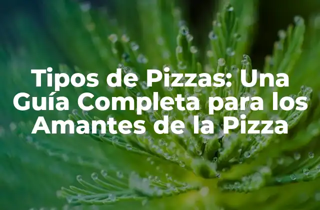 Tipos de Pizzas: una Guía Completa para los Amantes de la Pizza