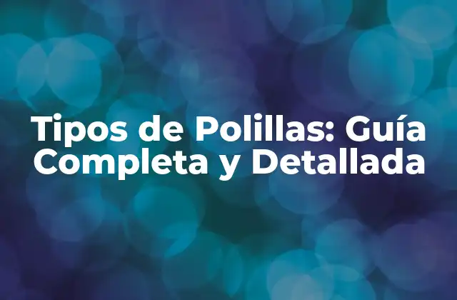 Tipos de Polillas: Guía Completa y Detallada