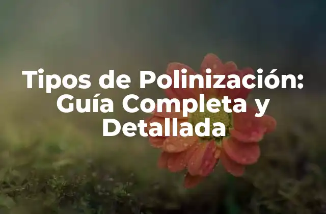 Tipos de Polinización: Guía Completa y Detallada 2 Polinización por Viento (Anemofilia)