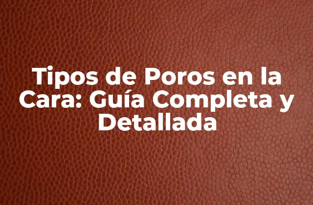 Tipos de Poros en la Cara: Guía Completa y Detallada
