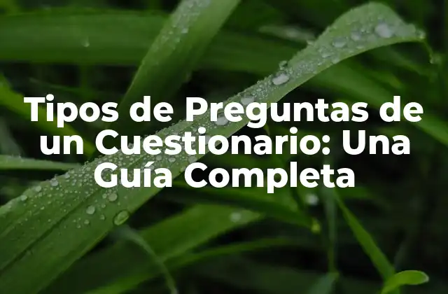 Tipos de Preguntas de un Cuestionario: una Guía Completa