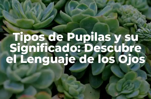 Tipos de Pupilas y Su Significado: Descubre el Lenguaje de los Ojos