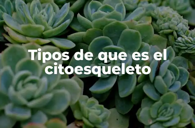 Tipos de que es el Citoesqueleto