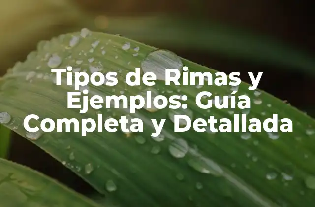 Tipos de Rimas y Ejemplos: Guía Completa y Detallada