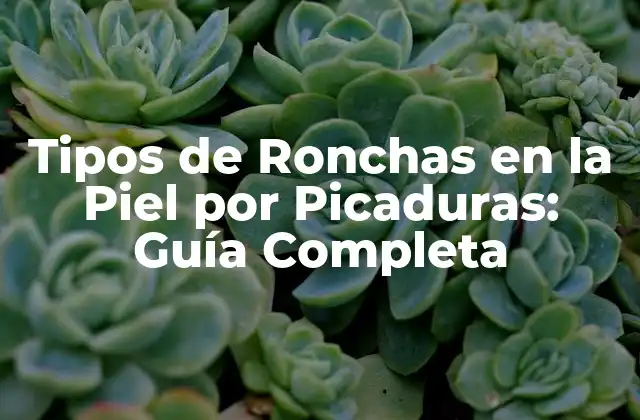Tipos de Ronchas en la Piel por Picaduras: Guía Completa