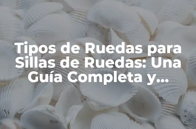 Tipos de Ruedas para Sillas de Ruedas: una Guía Completa y Detallada