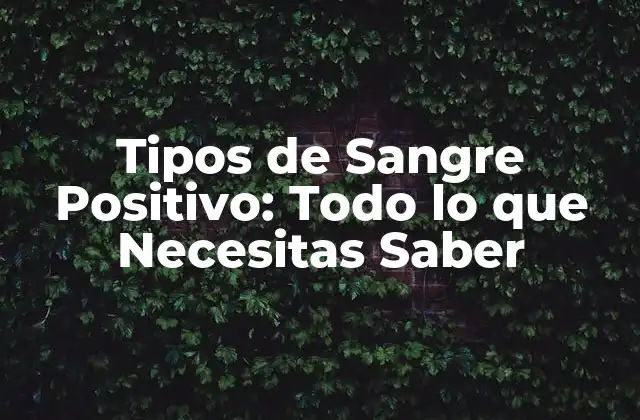 ¿Qué es la Sangre Positivo?