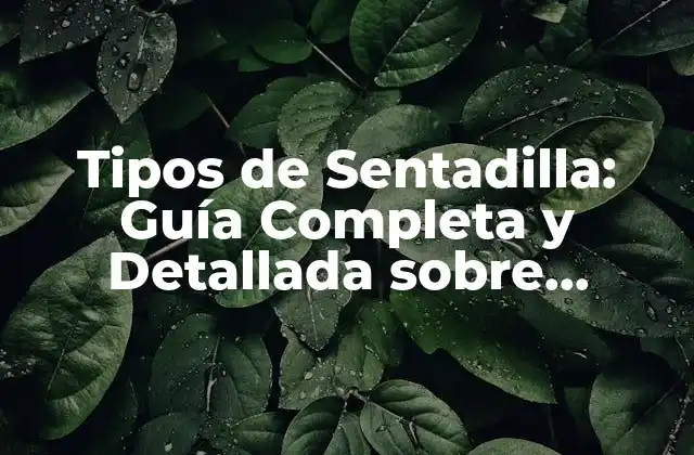 Tipos de Sentadilla: Guía Completa y Detallada sobre Ejercicios de Piernas