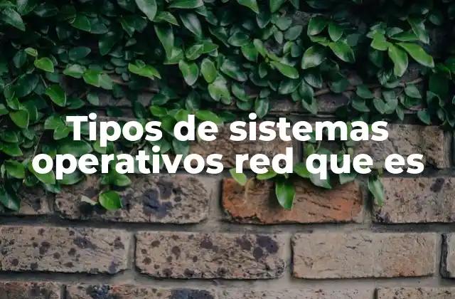 Tipos de Sistemas Operativos Red que es