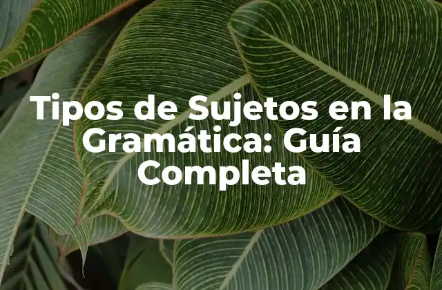 Tipos de Sujetos en la Gramática: Guía Completa