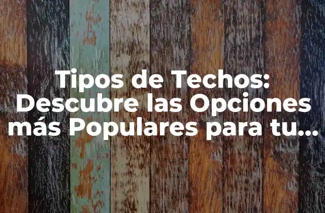 Tipos de Techos más Comunes