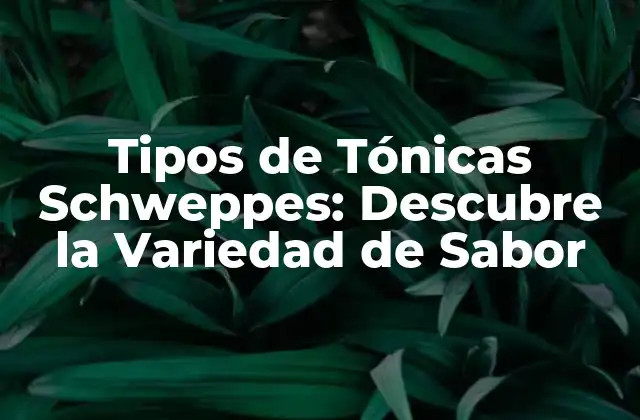 Tipos de Tónicas Schweppes: Descubre la Variedad de Sabor
