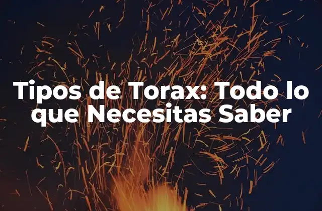 Tipos de Torax: Todo Lo que Necesitas Saber