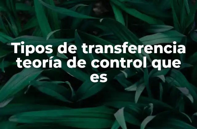 Tipos de Transferencia Teoría de Control que es
