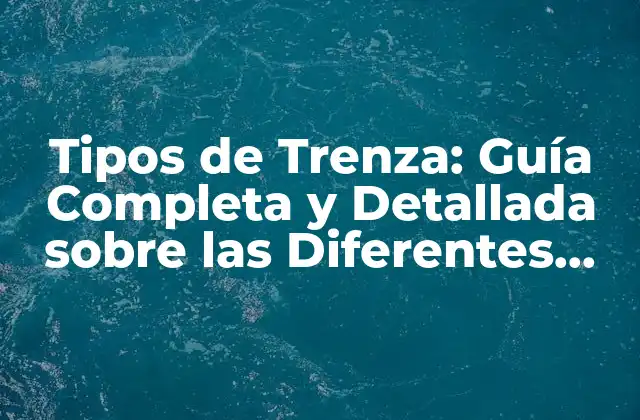 Tipos de Trenza: Guía Completa y Detallada sobre las Diferentes Variaciones de Trenzas