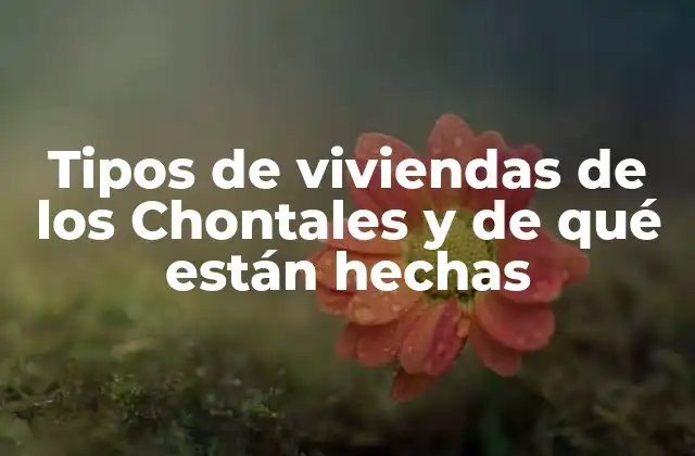 Tipos de Viviendas de los Chontales y de Qué Están Hechas