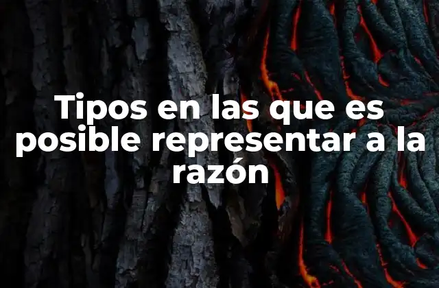 Tipos en las que es Posible Representar a la Razón 2 Formas de entender y aplicar la idea de razón en distintos contextos