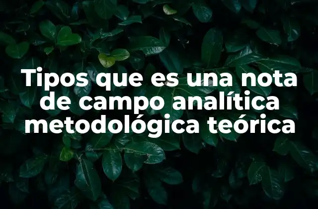 Tipos que es una Nota de Campo Analítica Metodológica Teórica