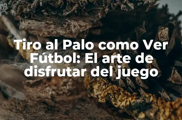 Tiro Al Palo como Ver Fútbol: el Arte de Disfrutar Del Juego