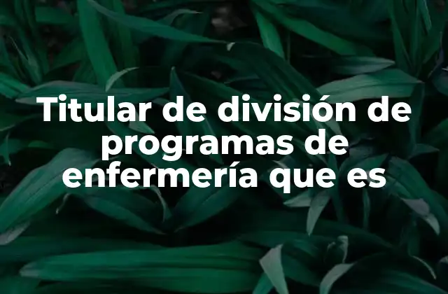 Titular de División de Programas de Enfermería que es