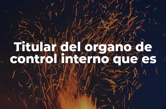 Titular Del Organo de Control Interno que es