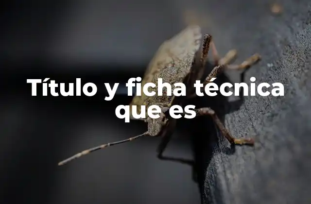 Título y Ficha Técnica que es