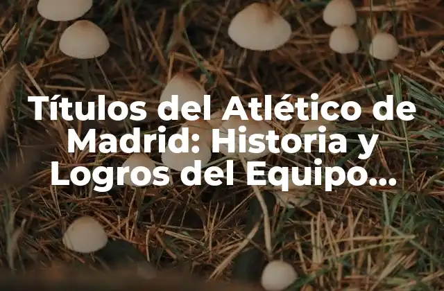 Títulos Del Atlético de Madrid: Historia y Logros Del Equipo Colchonero 2 Los Primeros Títulos del Atlético de Madrid (1903-1949)