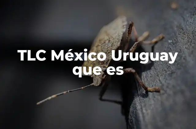 Tlc México Uruguay que es