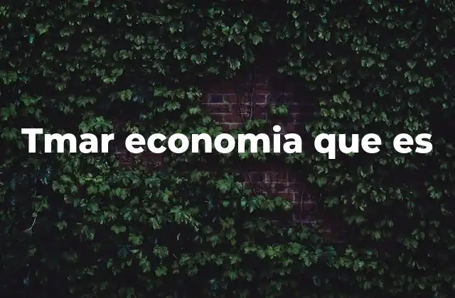 Tmar Economia que es