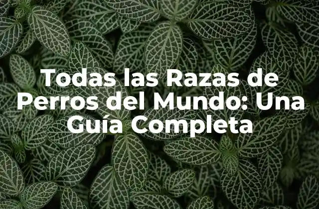 Todas las Razas de Perros Del Mundo: una Guía Completa 2 Orígenes de las Razas de Perros