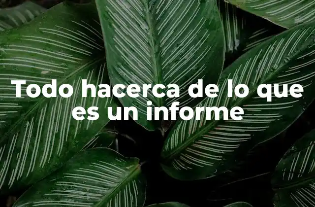 Todo Hacerca de Lo que es un Informe