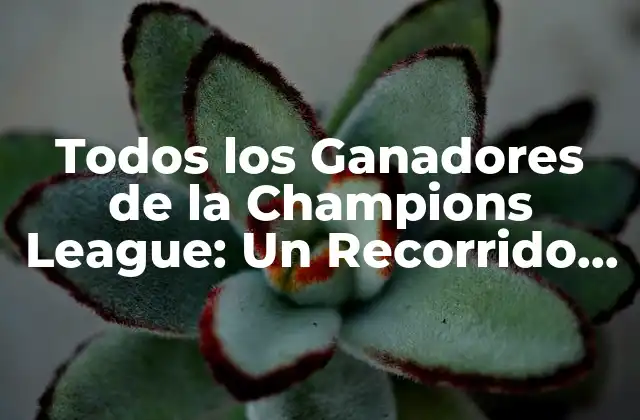 Todos los Ganadores de la Champions League: un Recorrido por la Historia Del Fútbol