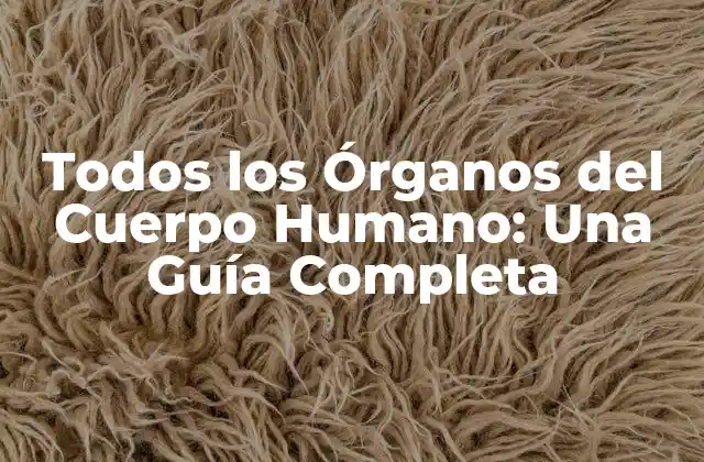 Todos los Órganos Del Cuerpo Humano: una Guía Completa