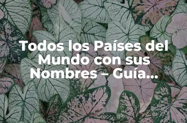 Todos los Países Del Mundo con Sus Nombres – Guía Completa
