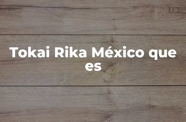 Tokai Rika México que es