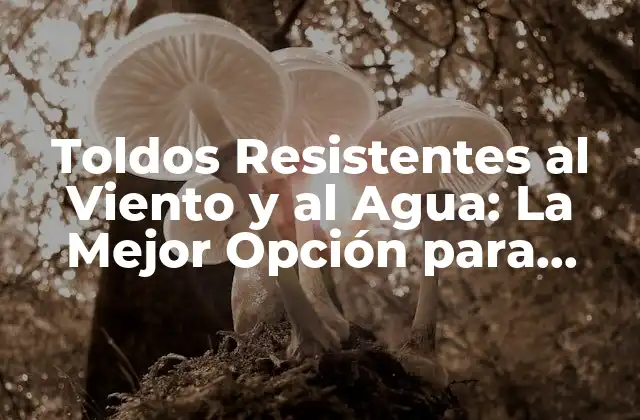 Toldos Resistentes Al Viento y Al Agua: la Mejor Opción para Proteger Tu Hogar